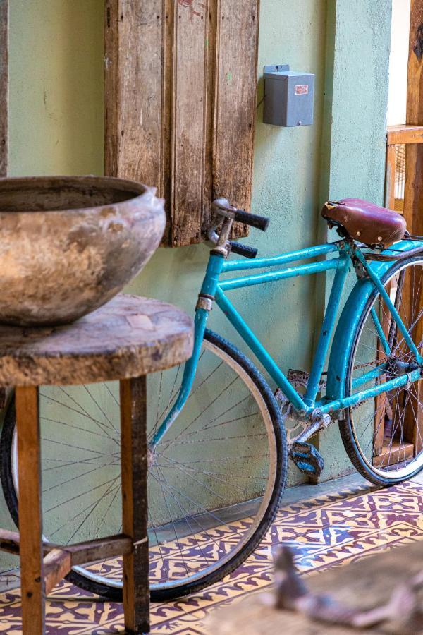 Hotel Alma De Zorro Bacalar Zewnętrze zdjęcie